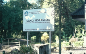 CANDI MORANGAN