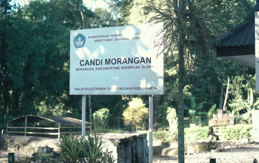 CANDI MORANGAN